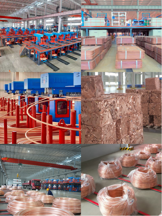 86f44243f0f1b80f30341b8703589522.png 86f44243f0f1b80f30341b8703589522.png